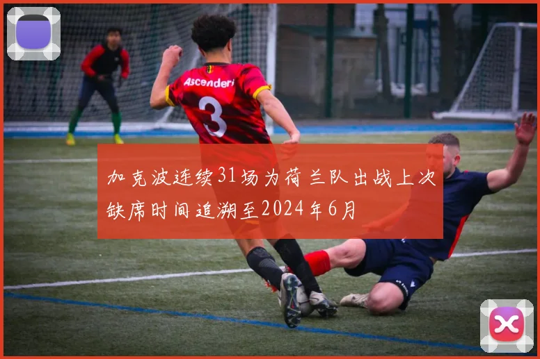 加克波连续31场为荷兰队出战上次缺席时间追溯至2024年6月